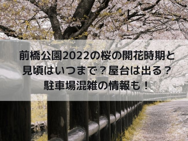 前橋公園　2022　桜